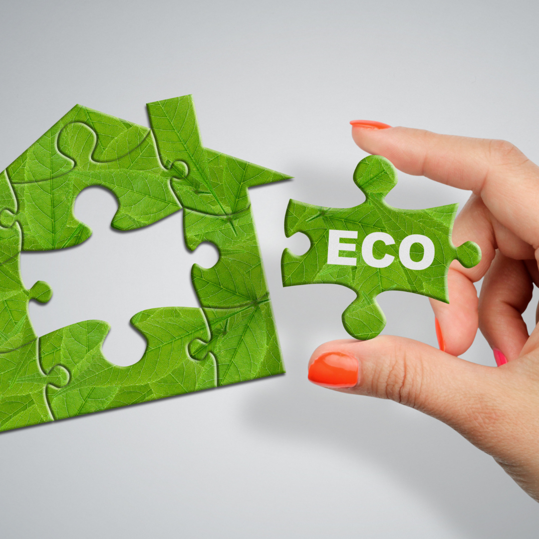 Eco-Friendly Movers